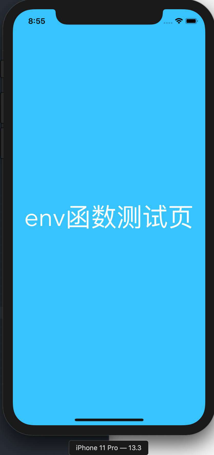 H5 页面 iPhoneX 刘海屏适配